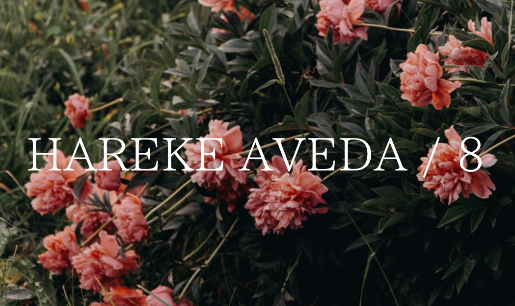 焼き菓子とドリップコーヒーのお歳暮セット