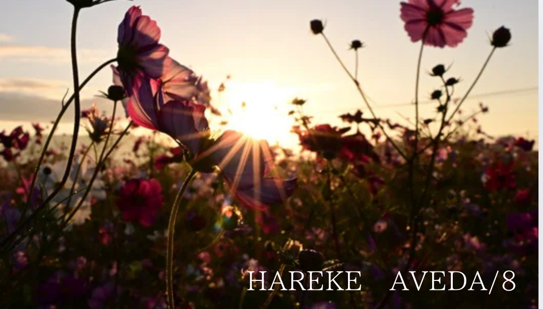 【1月のご案内状況】