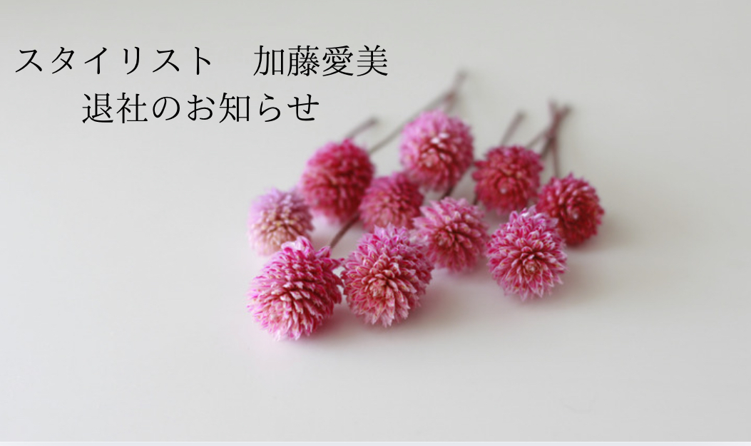 【加藤愛実より退社のお知らせ】