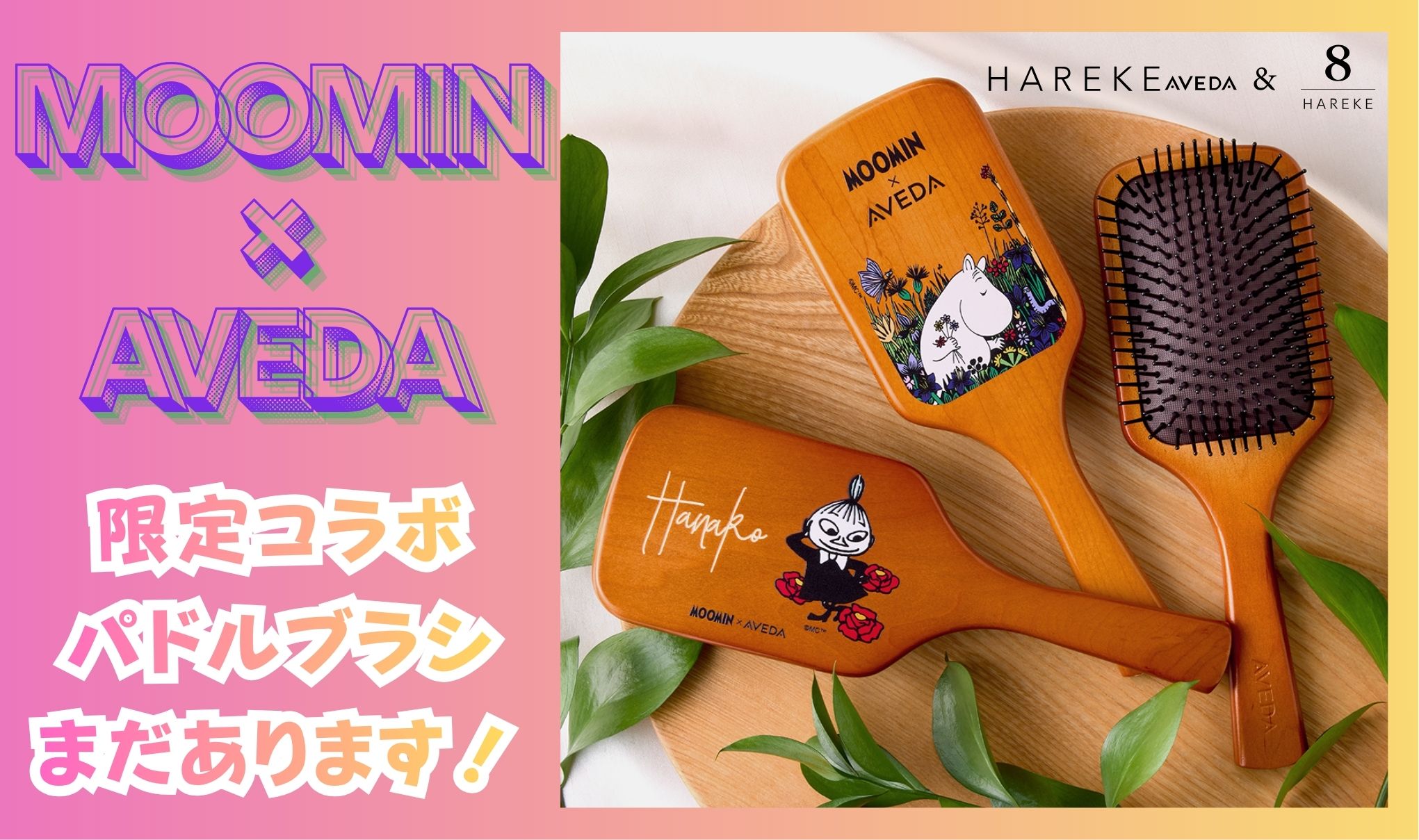 限定パドルブラシ🪮
